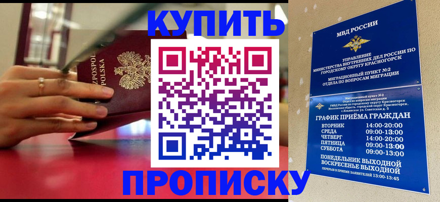 временная регистрация поиск в Электростали